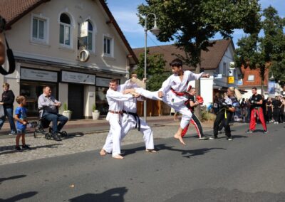 Ellernfest Rastede 2025