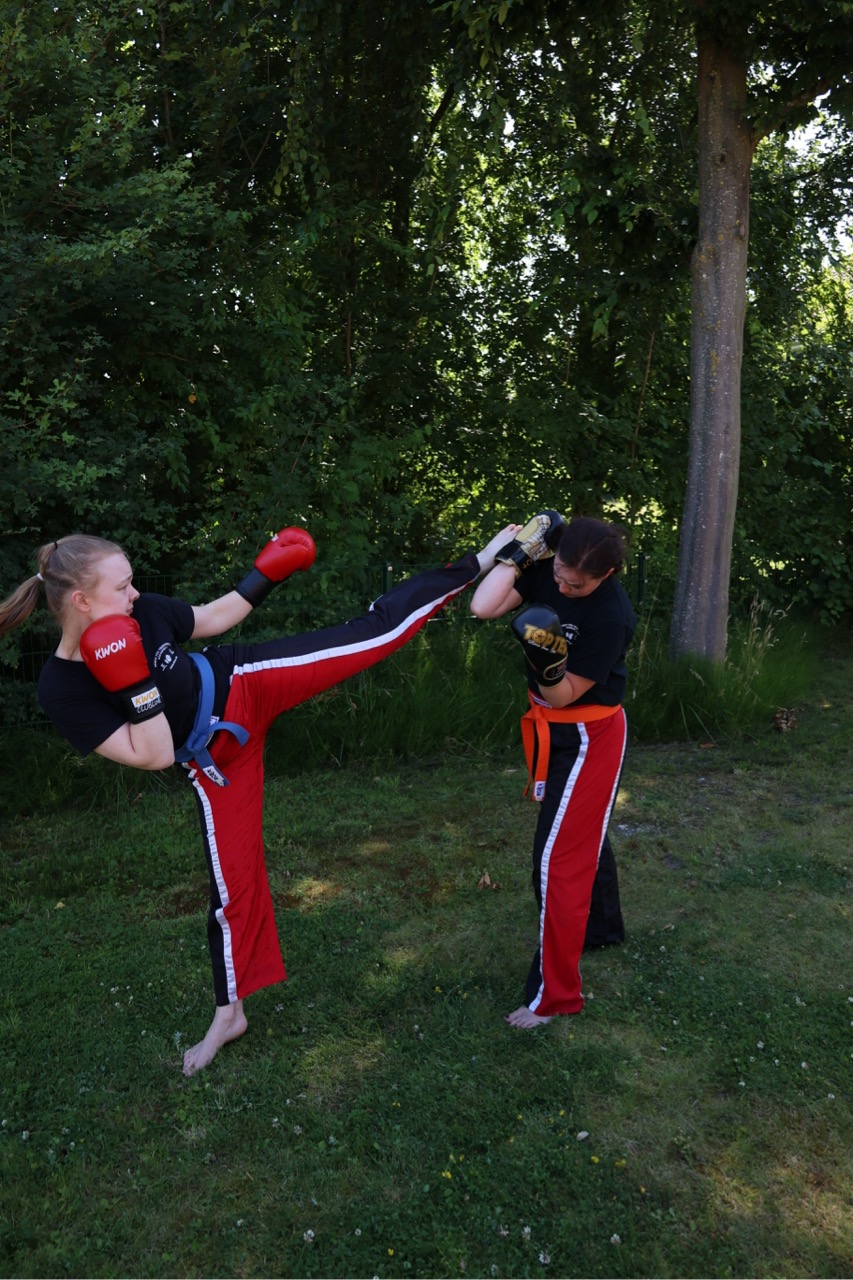 Julia Roundhouse Kick2